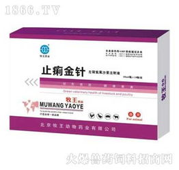 止痢金針 獸藥市場新寵，招商火爆引關注